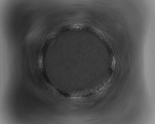 X0000099941394200805301208