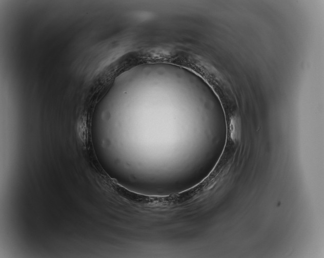 X0000099941395200805301208