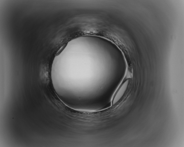 X0000099941396200805301208