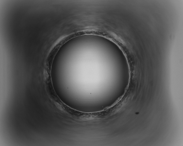 X0000099941400200805301208