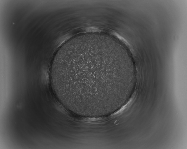X0000099941401200805301208