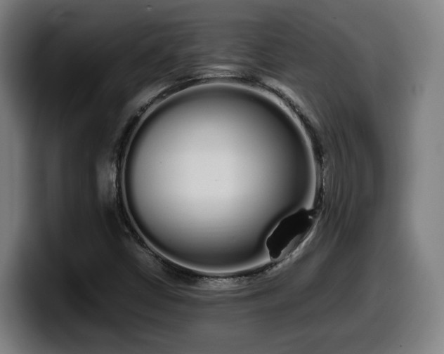X0000099941402200805301208