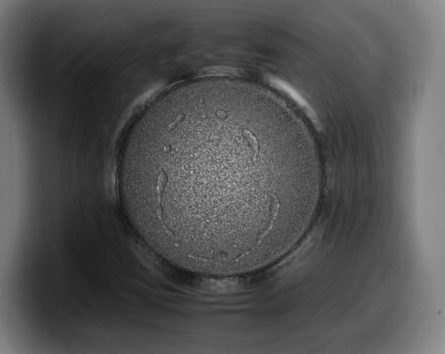 X0000099941403200805301208