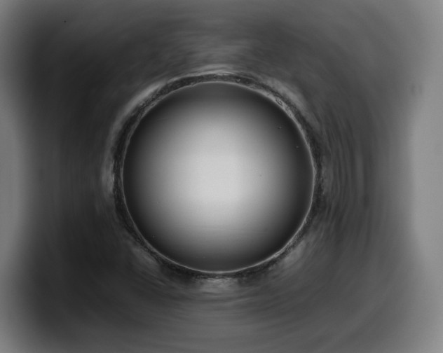 X0000099941406200805301208