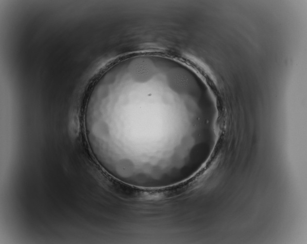 X0000099941407200805301208