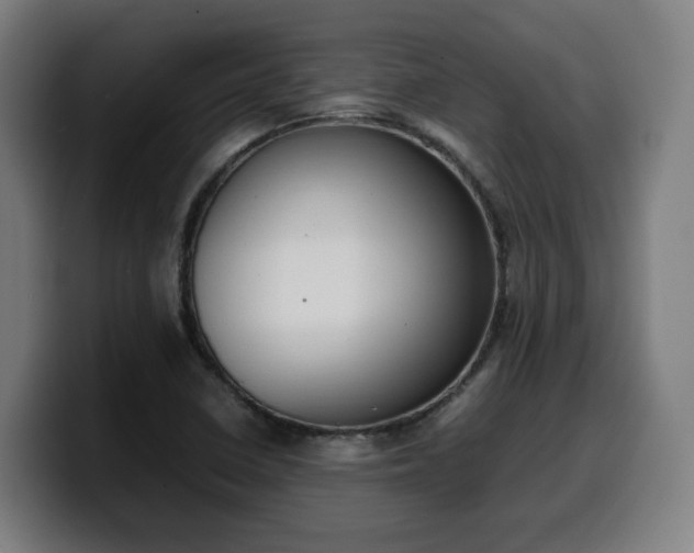 X0000099941410200805301208