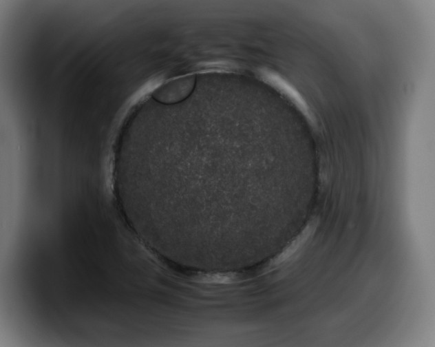 X0000099941411200805301208
