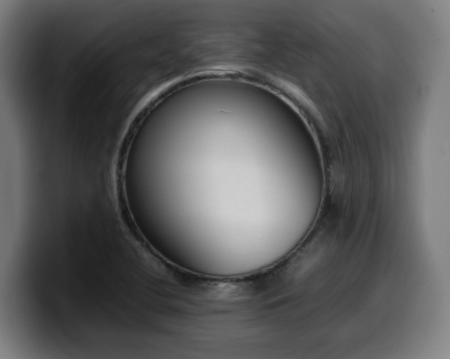 X0000099941412200805301208