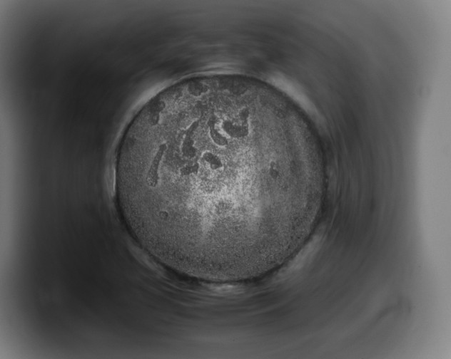 X0000099941413200805301208