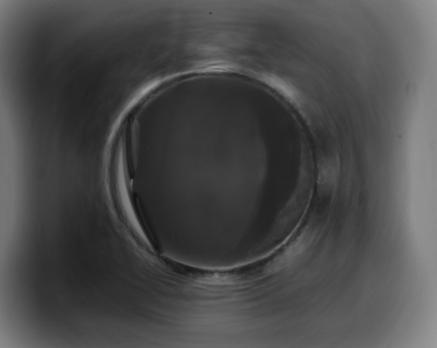 X0000099941414200805301208