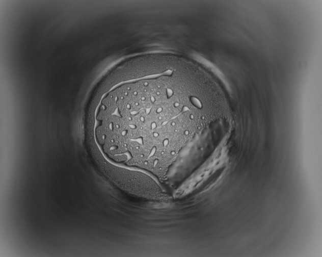 X0000099941415200805301208