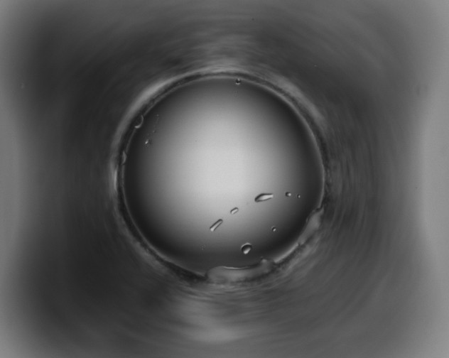 X0000099941416200805301208