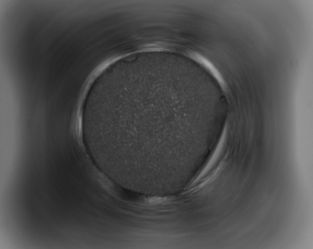 X0000099941419200805301208