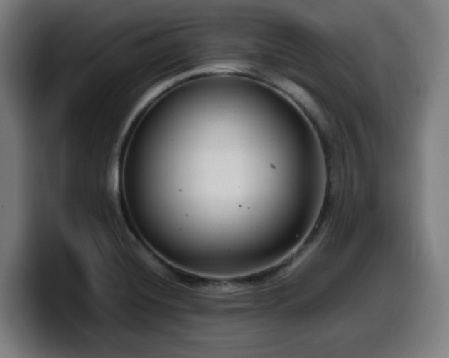 X0000099941420200805301208