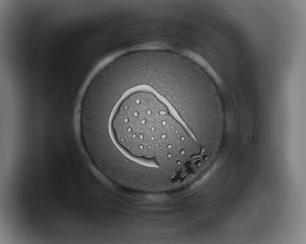 X0000099941421200805301208