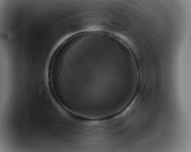 X0000099941422200805301208