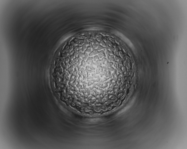 X0000099941425200805301208