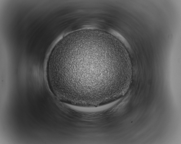 X0000099941427200805301208