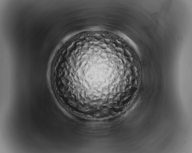 X0000099941429200805301208