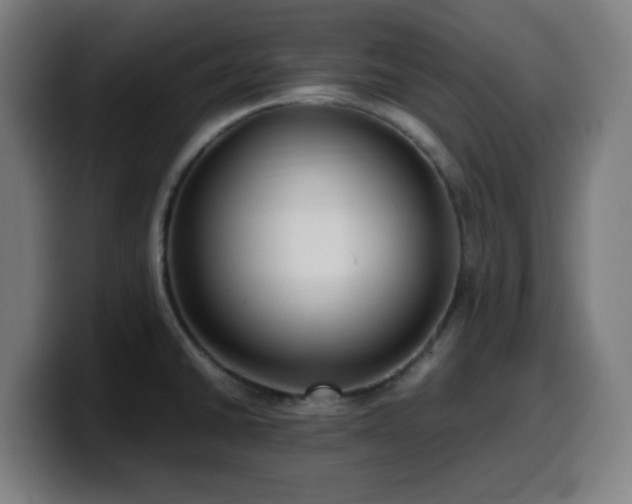 X0000099941430200805301209