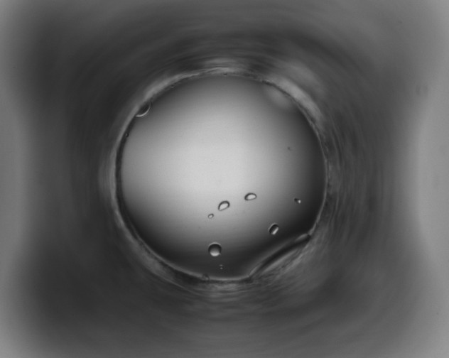 X0000099941431200805301209