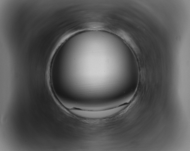 X0000099941432200805301209