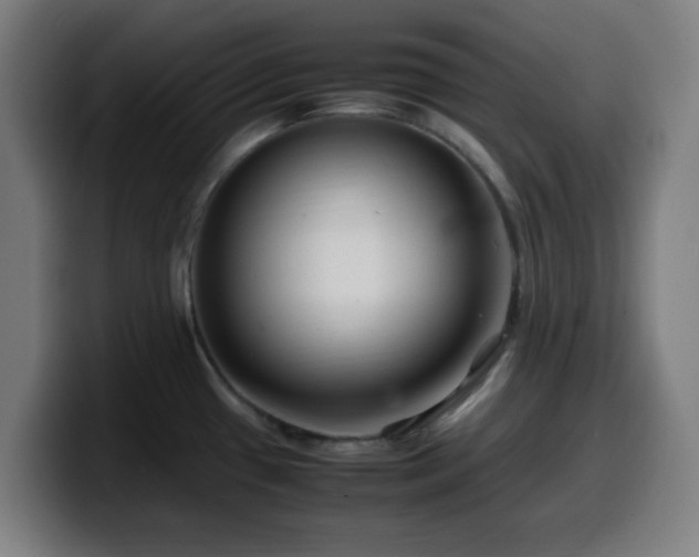 X0000099941433200805301209