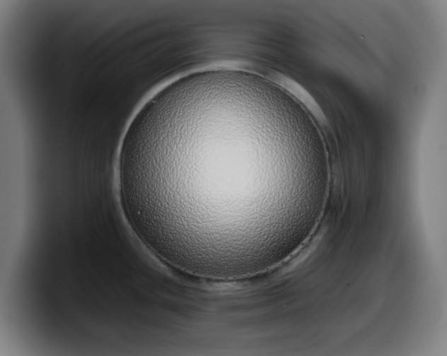 X0000099941436200805301209