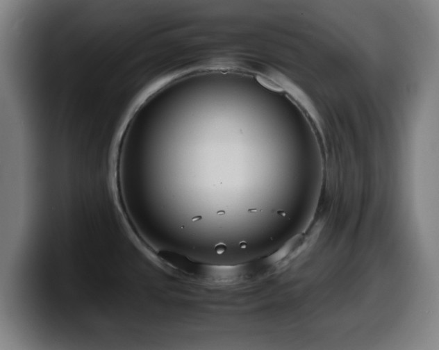X0000099941437200805301209
