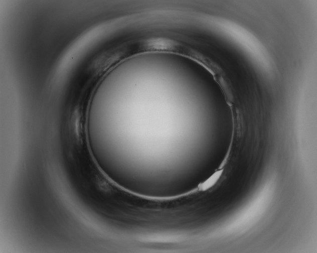 X0000099941438200805301209