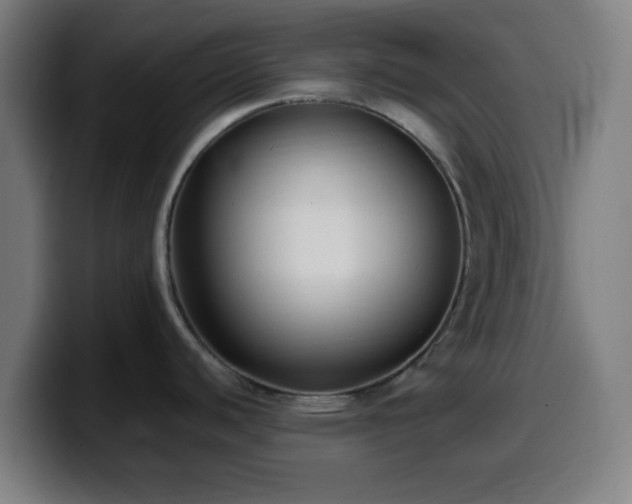 X0000099941440200805301209