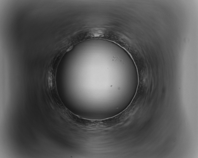 X0000099941442200805301208