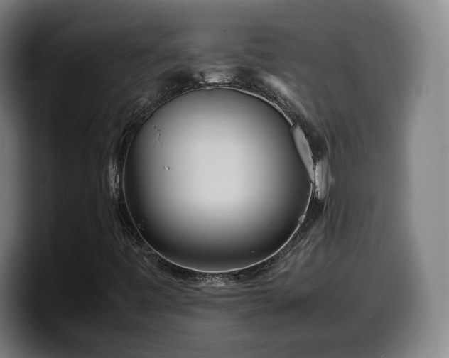 X0000099941443200805301208