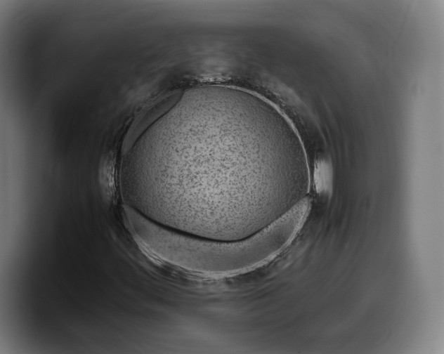 X0000099941444200805301208