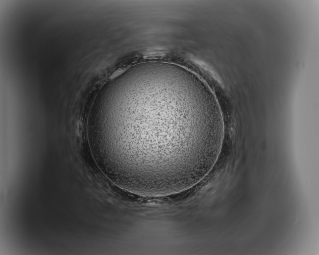 X0000099941445200805301208