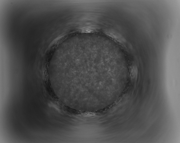 X0000099941446200805301208