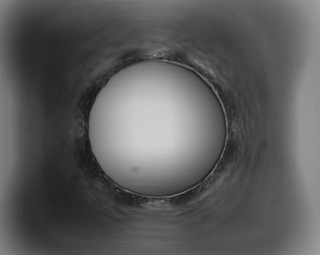 X0000099941447200805301208
