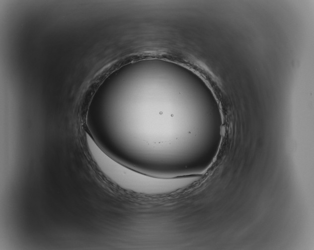 X0000099941448200805301208