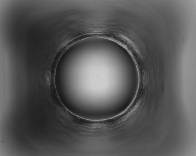 X0000099941449200805301208