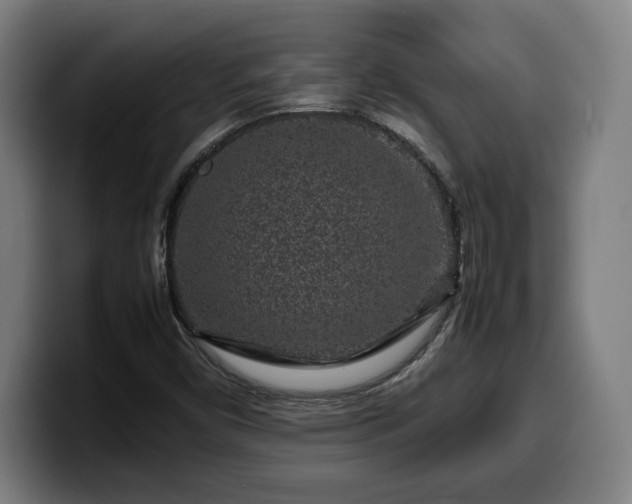 X0000099941450200805301208