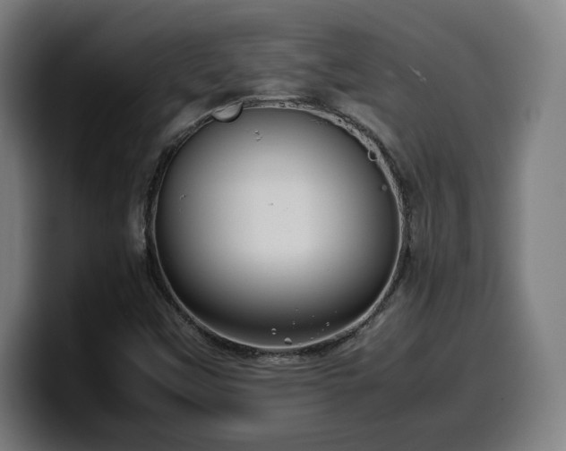 X0000099941451200805301208