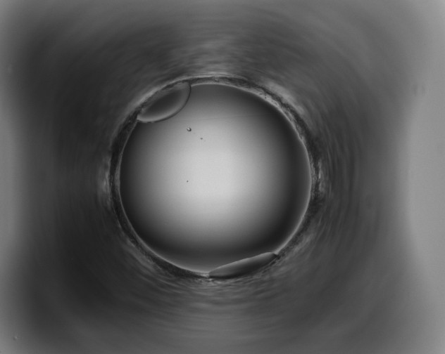 X0000099941452200805301208