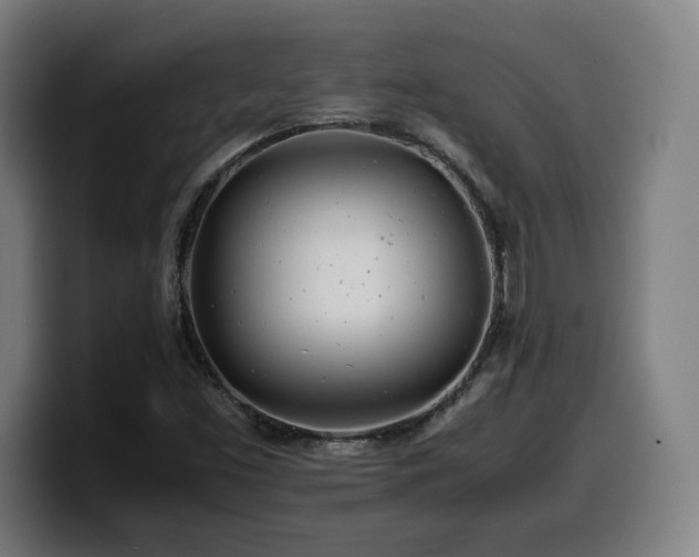 X0000099941453200805301208