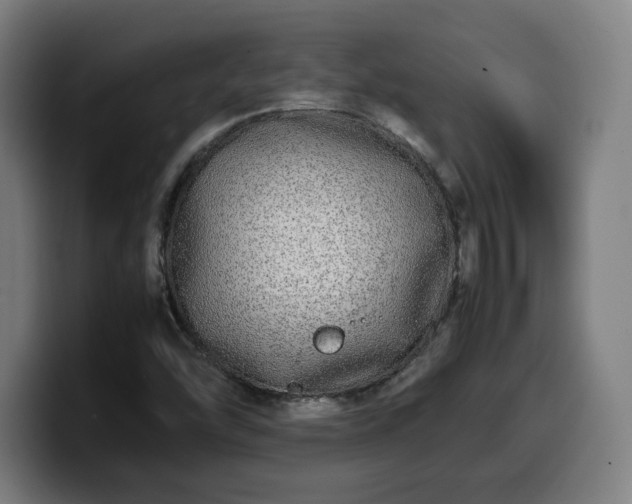 X0000099941454200805301208