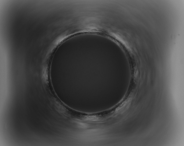 X0000099941455200805301208