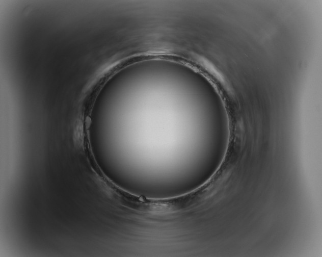 X0000099941456200805301208