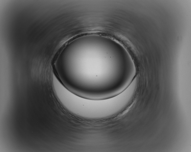 X0000099941457200805301208