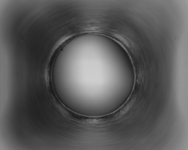 X0000099941458200805301208