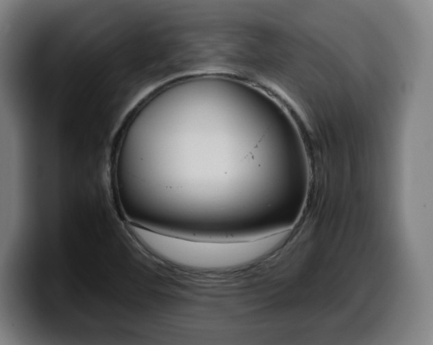 X0000099941460200805301208