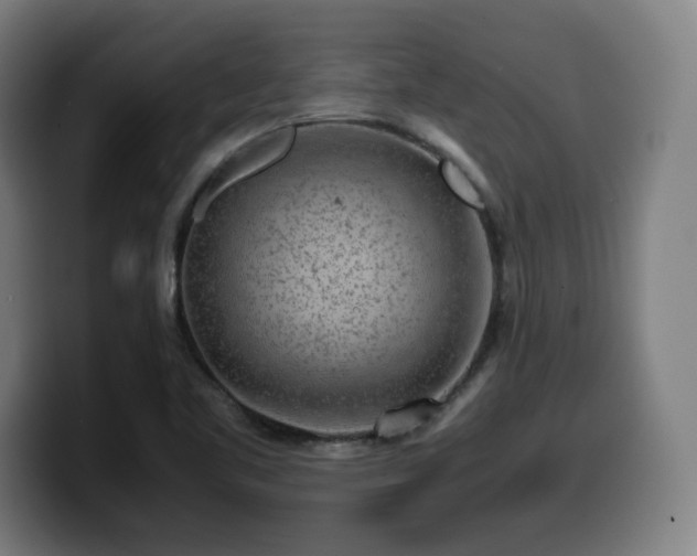 X0000099941461200805301208